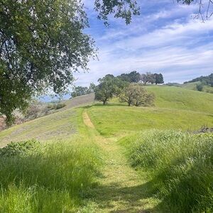 Meet your Posher, Cannelle